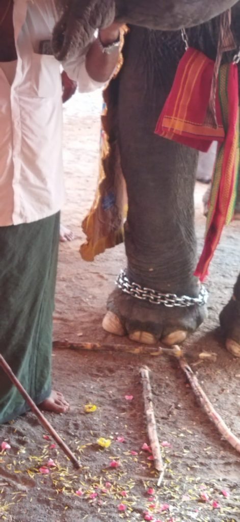 AadhiSakthi Gnana Peetam Kumbabishekam