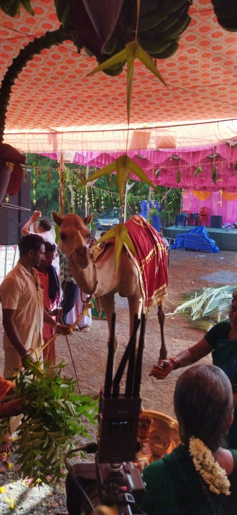 AadhiSakthi Gnana Peetam Kumbabishekam