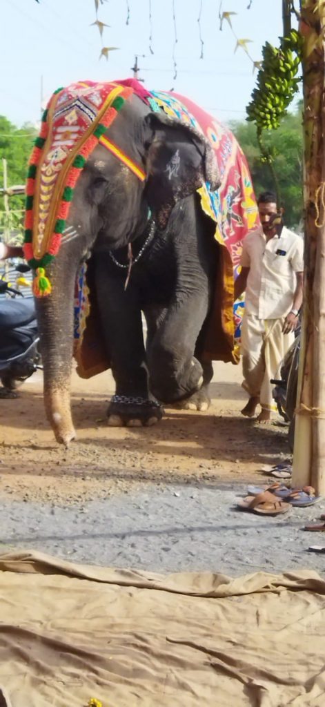 AadhiSakthi Gnana Peetam Kumbabishekam
