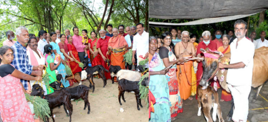 livelihood empowerment (2)